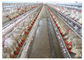 Poultry Farming Q235 Broiler Chicken Cage With CE Certificate