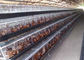 Poultry Farming Galvanized Battery Layer Chicken Cage 160 Birds