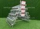 3.0mm Q235 Wire Poultry Chicken Cages Type A For Breeding Hens Farm
