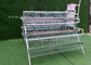 High Egg Production Hdg A Frame Layer Cages Automatic System For Commercial Chicken Farming