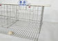 Hdg Animal Husbandry Equipment Layer Chicken Cage Battery