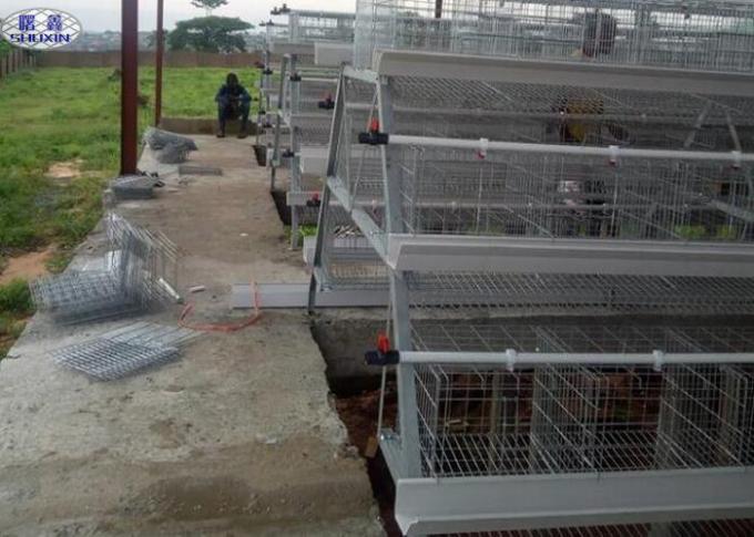Galvanized Laying Hens Cages 4 Tiers 128 Birds Capacity Automatic System