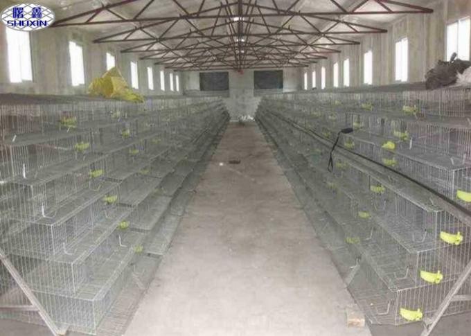 Welded Mesh Quail Laying Cage / Quail Poultry Layer Cages CE Certification