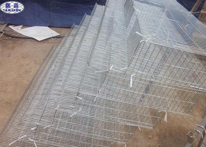 Automatic Quail Egg Laying Cages Battery Operated Design Customized Size