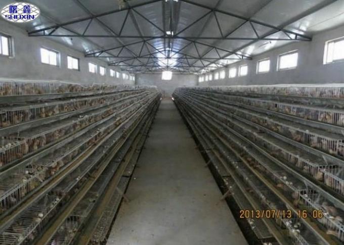 6 Floors Steel Quail Laying Cage / Automatic Wire Quail Laying Cages