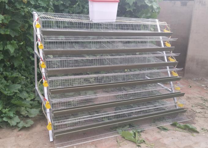 Half A Type Quail Farm Cage Wire Quail Laying Cages For Quail Farming