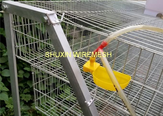 Commercial Auto Water Laying Bird Egg Quail Farm Cage , Wire Quail Cages