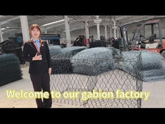 Gabion Basket workshop