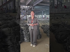 Invisible Wire Mesh Workshop Show