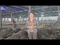 Anti-tank barrier mesh workshop introduction and display