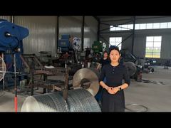 Stainless Steel Cross Razor Wire Fencing BTO-16 BTO-22 BTO-60 CBT-65 Razor Blade Barbed Wire Fence