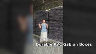 Galvanized Iron Wire Mesh PVC Coated Gabion Box