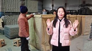 Galvanized Welded Barriers Bastion Barriers Sand Flood Wall