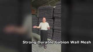 Galvanized Iron Wire Hexagonal PVC Coated Gabion Wall Retaining Wall Mesh 80x100mm
