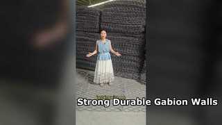 Hot-Dip Galvanized Iron Wire Gabion Basket/Cage/Wall 2x1x1m 80x100mm