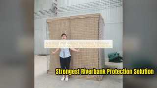 Anti Blast Wall Welded Wire Mesh for Riverbank Protection