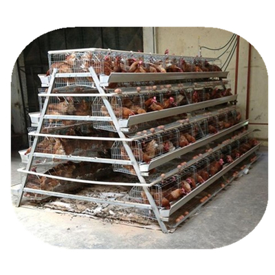 Corrosion Resistance Layer Chicken Cage 96 120 128 160 Birds Poultry