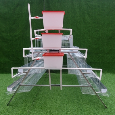 Poultry Farm A Type Q235 Layer Chicken Cage 4 Tiers 160 Birds Hot Dip Galvanized