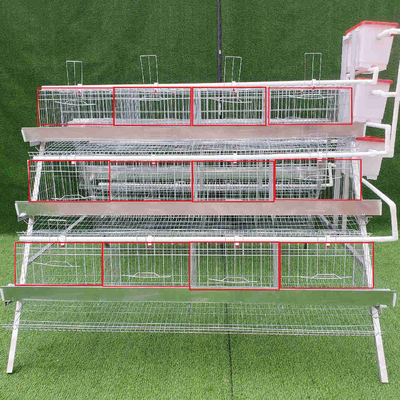 3 Tier A Type Automatic Layer Chicken Cage Egg Farm Laying Hens Poultry Battery