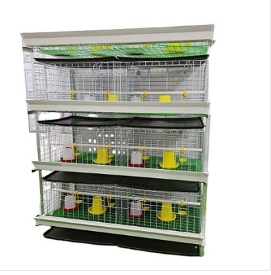 H Type Battery Layer Chicken Cage Automatic Egg Poultry Farms