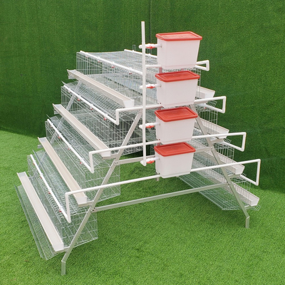 Farming A Type Mini Poultry Cages Chicken Layer 4 Tier 160 Birds