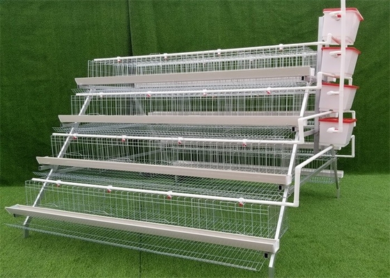 1.95 × 2.1 × 1.6M Chicken Egg Layer Cages Multiple Size Available