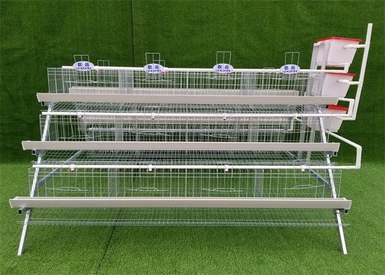 160 Chickens Automatic Feeding Farm Poultry Laying Hens Cage