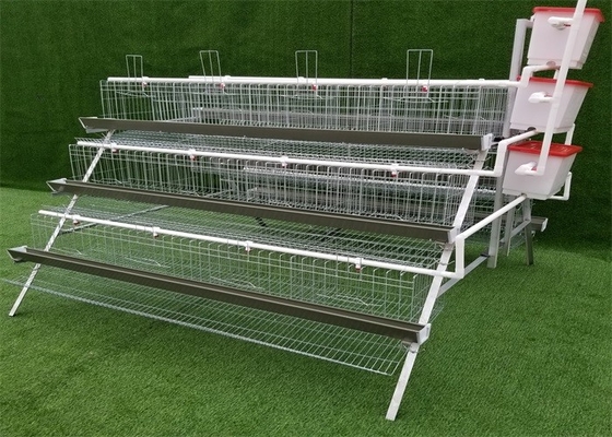 Cold Galvanized Durable Raising Chickens Egg Laying Cage 120Birds