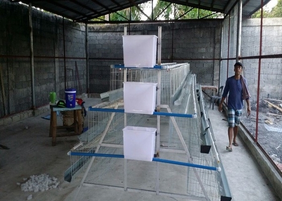 3 Tiers 4 Rooms 500-1000 Birds Chicken Breeding Cages For Philippine Farms