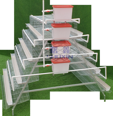 Q195 Zinc Plating Quail Laying Cages Galvanized A Type / H Type