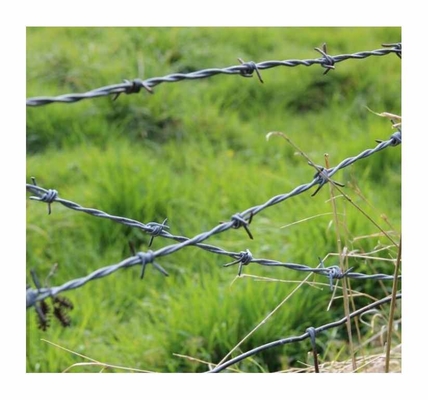 Wholesale Low Cost Electro Galvanised Steel Barbed Wire For Household