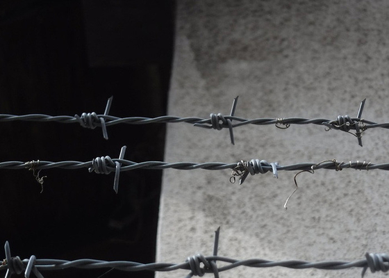 Garden Anti-Theft Double Strand Traditional Twist Barbed Wire Fence