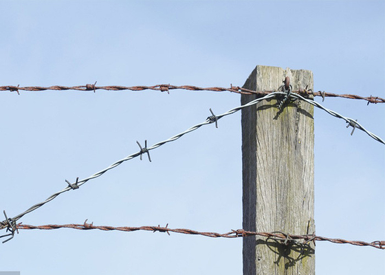 Garden Anti-Theft Single Strand Galvanized Steel Barbed Wire Fence