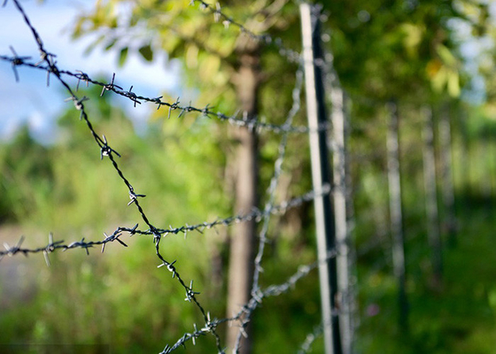 Garden Anti-Theft Double Twisted PVC Coated /Galvanized Barbed Wire Coils
