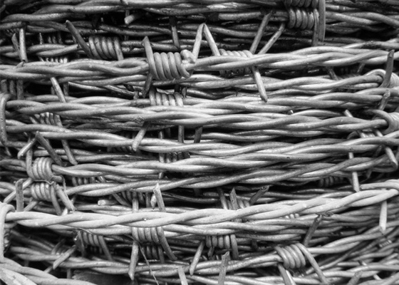 Garden Anti-Theft 12.5 Gauge  Double Twisted Galvanized Barbed Wire