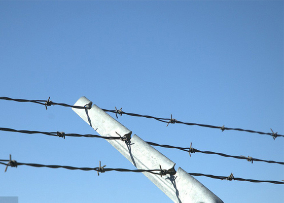 Farm Protection Single Strand Galvanized Steel Barbed Wire Fence Construction Protection