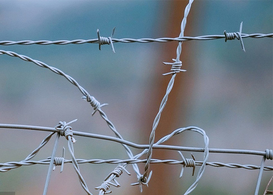 Farm Protection Double Twisted PVC Coated /Galvanized Barbed Wire Coils