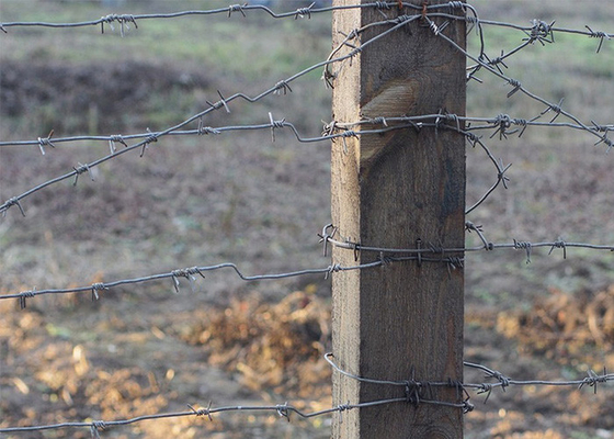 Farm Protection 50kg Double Strand Traditional Twist Barbed Wire Roll