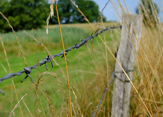 Rust Resistance Double Strand Traditional Twist Barbed Wire Fence