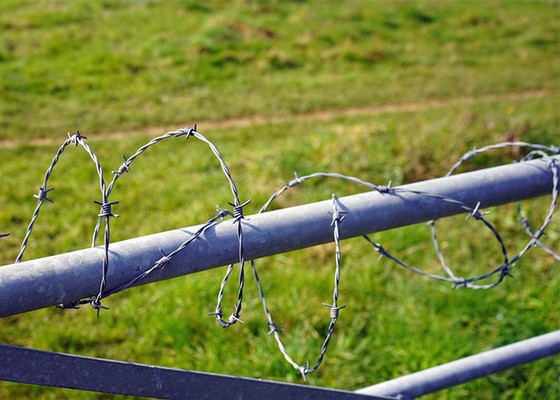 Rust Resistance Single Strand Galvanized Steel Barbed Wire Fence Construction Protection