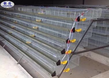 Galvanized Metal Quail Laying Cage , 6 Layers Wire Quail Laying Cages