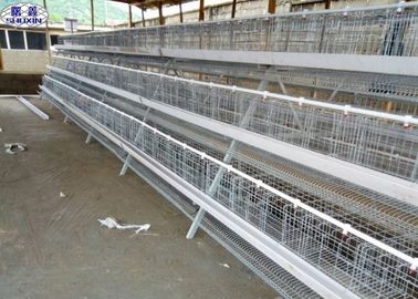 3 Layer Chicken Cage / Layer Poultry Farming Cage Design Long Life Time
