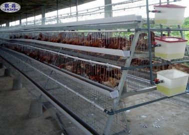 Zinc Plating Chicken Breeding Cages 304 Stainless Steel Ball Long Time Use