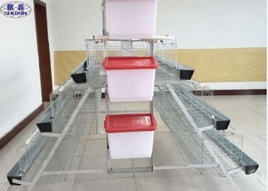 Indoor Poultry Chicken Cages, Meat Chicken Cages Galvanized Surface