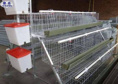 Metal Wire Mesh Poultry Chicken Cages , Battery Type Breeding Cages