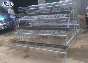 Durable A Type Wire Poultry Cages For Zimbabwe Farm 360 Degree Drinking