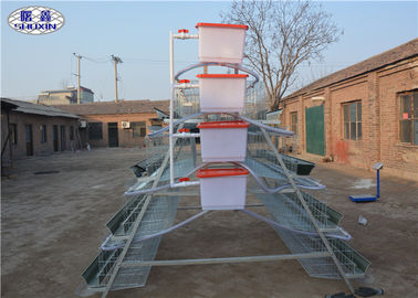 Automatic Layer Chicken Cage Galvanized Feature A Type Design For Farm