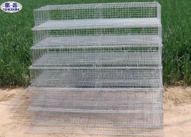Metal Quail Breeding Cages 15 Years Lifetime with 3 Years Warranty