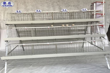 3 Tiers 4 Tiers Poultry Battery Cage 96 Birds 128 Birds Customized Service