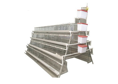 Hot Dipped Galvanized Egg Laying Cages For Chicken Farm 2m*2.4m*2m Size
